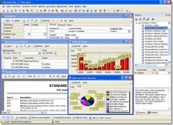 Business2Go Standard screenshot